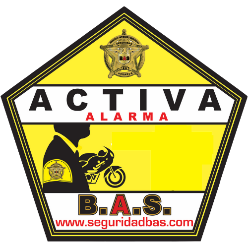 Pentagono seguridad bas